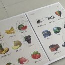 리틀 타이니 하우스 | [공지] 내돈내산 | 27개월 아기 엄마가 추천하는 임신·출산 선물 추천, 비추천 리스트