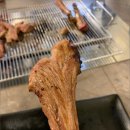 태양부양꼬치 이미지