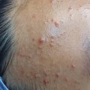 하이토탈뷰티 이미지