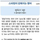 spice up (더 흥미롭게 만들다) 이미지