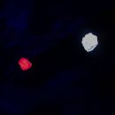 앨리스인원더랜드 이미지