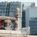 사진찍기좋은날 이미지