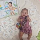 팸퍼스 2026 터치 오브 네이처 썸머팬티 후기