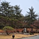 경주여행 경주가볼만한곳 불국사 석가탑 다보탑 토함산옥로수 극락전 복돼지 박물관 내돈내산 후기