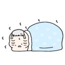 곰돌이 돈까스