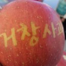 경상남도 사과이용연구소 이미지