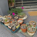 소백약국