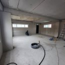 몽구네 애견유치원 이미지