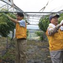 점리마을 이미지