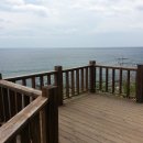 강릉햇살 Daum카페