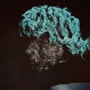 주흥길 77 이미지