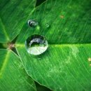 벽산1차아파트 상가앞 이미지