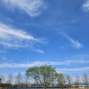 산호대로-4 네이버블로그