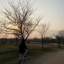 을숙도 생태공원 이미지