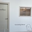 드봉펫살롱 이미지