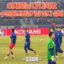 제주월드컵경기장 천연잔디구장 | 대한민국 vs 요르단 수원월드컵경기장 잔디 상태는? 선수들까지 나서서 불만 제기