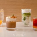 제주투어매니저