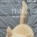 친구네상회