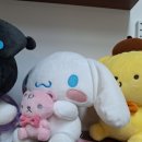 앨라상점 이미지