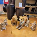 조선쌈밥 이미지