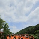 한양대태권도장 이미지