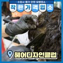 헤어디자인클럽
