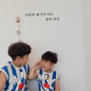 조이풀(Joy Pool) 이미지