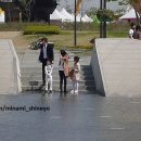 시티헌터 이미지