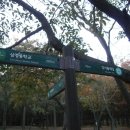 개화산 약사사 삼거리 이미지