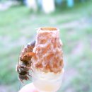 가을왕 6마리 3만원. 택배비 무료 ＜매진＞ 이미지