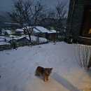 호수담다 이미지