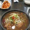 초애 이미지