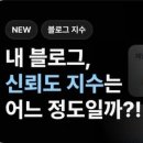 지수하다 | 판다랭크 채널 신뢰도 지수 후기 | 이제는 블로그 지수보다 운영의 일관성이 더 중요하다