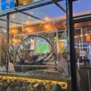 한라맥주 구리돌다리점 이미지