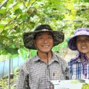 김주일농장 이미지