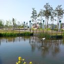 세천늪근린공원 이미지