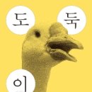 스카이책비디오 이미지