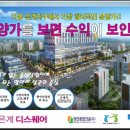 은계디스퀘어큐브 이미지