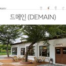 드메인(DEMAIN) 티스토리