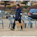 비상초등학교 이미지