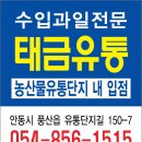 [판매완료]골드키위 공동구매 이벤트 합니다^^ 이미지