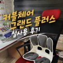 자세교정의자 커블체어 그랜드플러스 내돈내산 실사용 후기