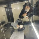 몽비다방