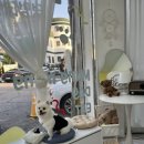 멍멍데잇 이미지