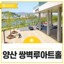 브런치 콘서트 - 리드 악기로 듣는 클래식 여행 | 쌍벽루 아트홀과 양산천 유채꽃 개화 소식