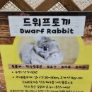 애니멀랜드 이미지