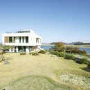 풍요의 바람 이미지