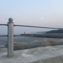 대게타운 이미지