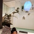 먹걷여행, 2박 3일 후쿠오카 (뉴카멜리아호) 2편
