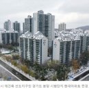 분당구청 내 이미지